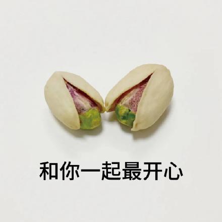 聊天必备！这套开心果表情包太好用了