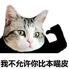 猫脸熊猫人聊天表情包合集