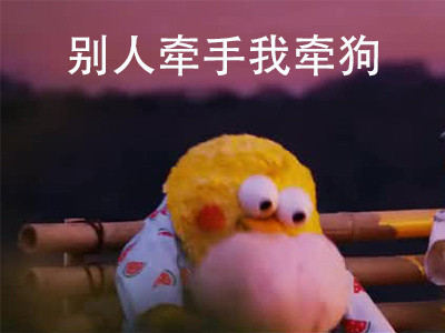 鹦鹉兄弟扎心表情包来了，看完谁不说一句真实
