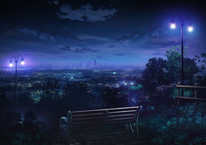 绝美动漫夜景壁纸分享