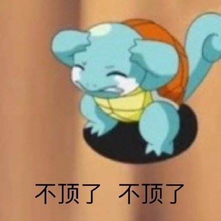 超萌憨憨杰尼龟表情包合集