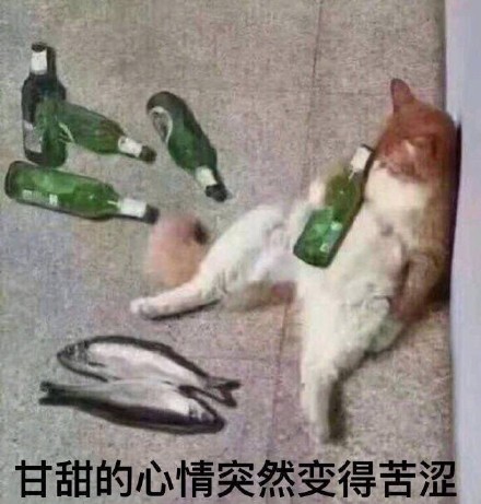 超全猫咪表情包合集来啦，斗图必备！