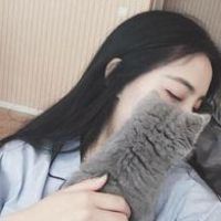 12张治愈感拉满！女生抱小猫的头像合集来了
