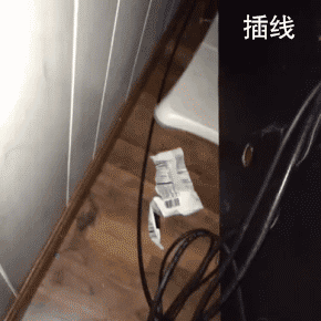 养猫的N种用处表情包合集