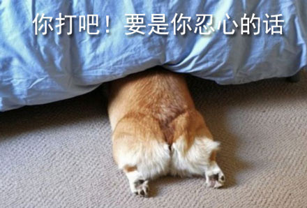 斗图神器！这句“你打吧！要是你忍心的话”表情包火了