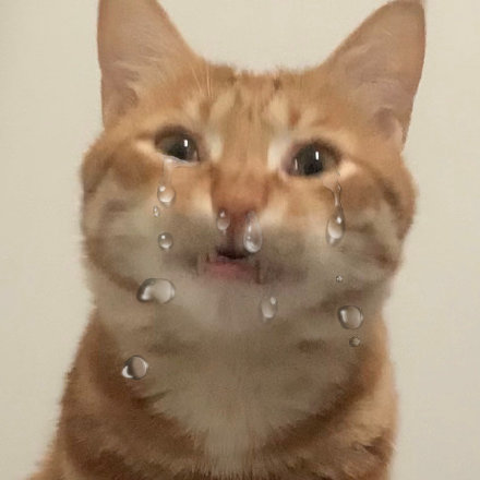 宝子哥与建国别哭了张建国