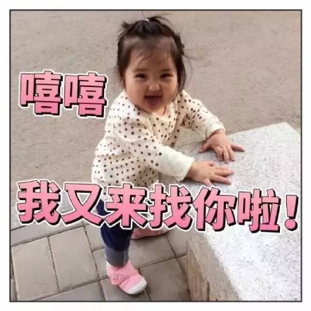 超萌小刚几表情包合集