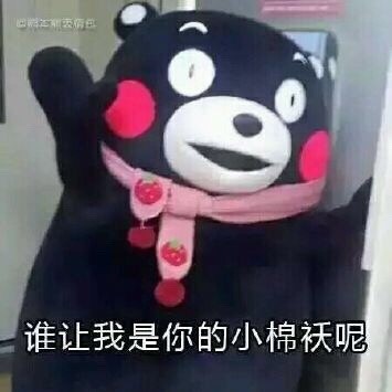 父亲节专属熊本熊表情包来啦！