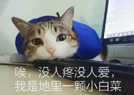 6月14日热门斗图表情包合集