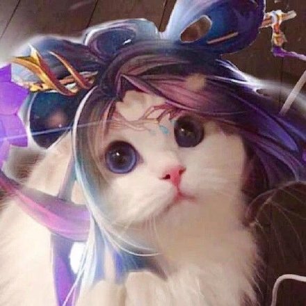 猫咪联名王者荣耀头像合集来啦