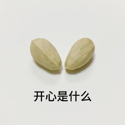 聊天必备！这套开心果表情包太好用了