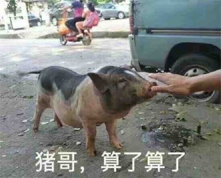 斗图神器！这套“大哥 算了算了”表情包太接地气了