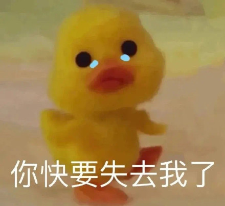 聊天斗图常备！小黄鸭表情包合集来啦
