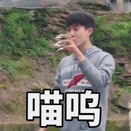 《变形记陈新颖表情包合集 斗图必备》