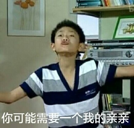 近期爆火的《家有儿女》表情包合集