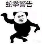 “在下功夫熊猫，请指教
