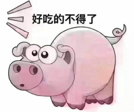 聊天斗图用的套路猪表情包合集