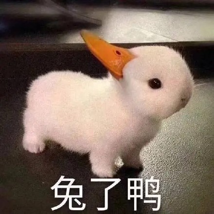 聊天斗图必备！这套兔兔表情包太好用了