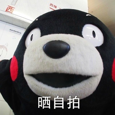 朋友圈日常同款表情包合集
