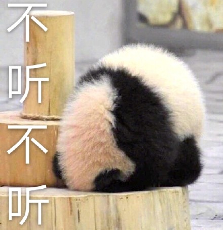 圆滚滚熊猫表情包来啦！聊天斗图直接用
