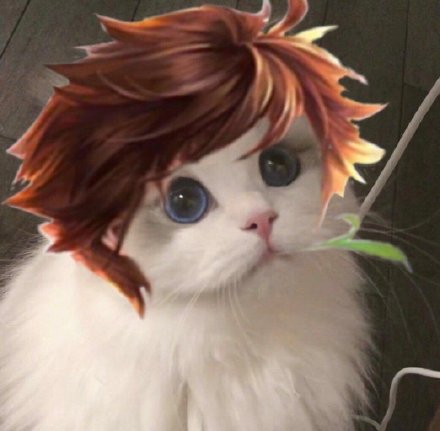 猫咪联名王者荣耀头像合集来啦