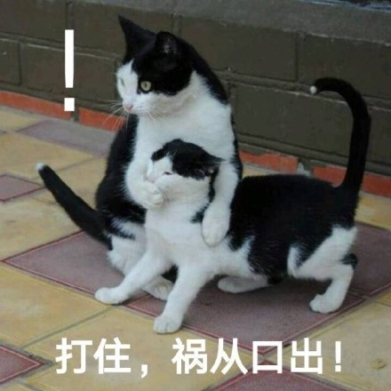 别瞎说，我们俩感情好着呢