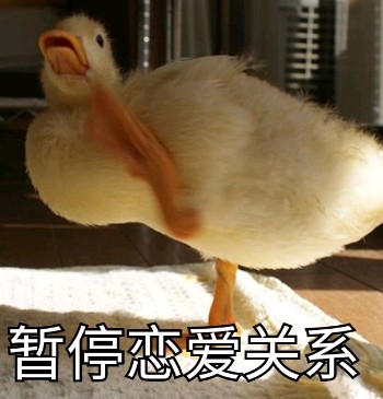 阿沁刘阳分手相关表情包合集