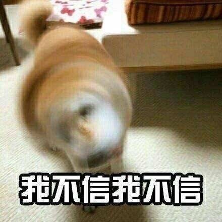 跟女朋友讲道理时她的真实反应 这套表情包太真实了