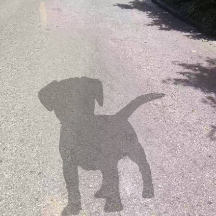 “阳光下的我vs你”表情包套装上线啦