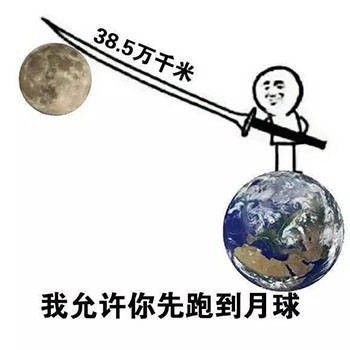 火出圈的