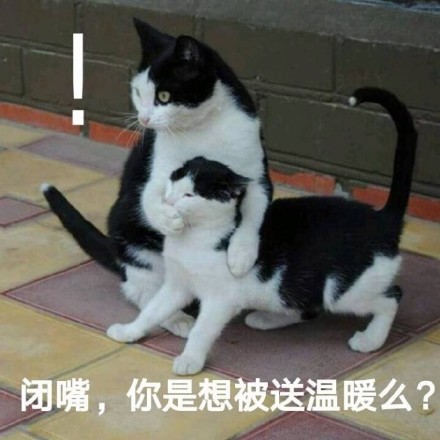 别瞎说，我们俩感情好着呢