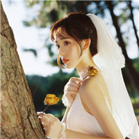 黄色调唯美意境女生头像合集 一共18张