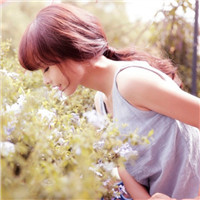 18张高清女生森系小清新头像 氛围感拉满的头像合集