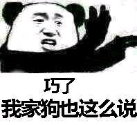 熊猫人版“巧了”表情包合集 斗图整活专属素材
