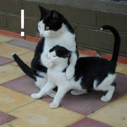 别瞎说，我们俩感情好着呢