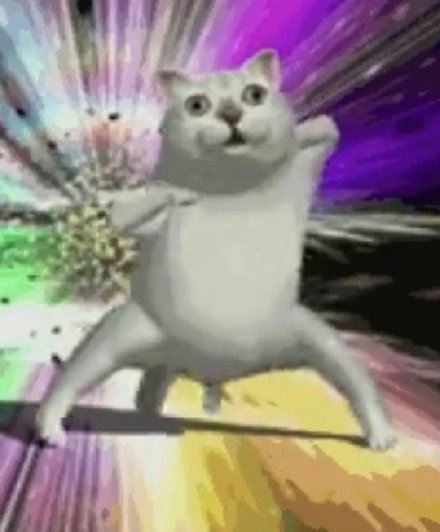 憨态拉满！Mur猫表情包合集来啦