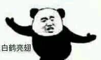 “在下功夫熊猫，请指教