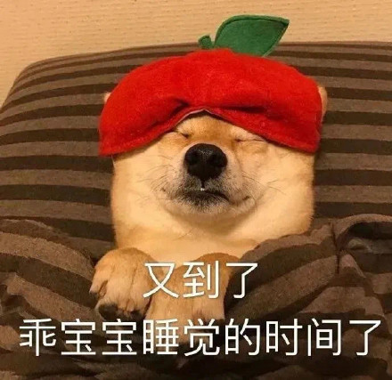 超治愈！狗狗晚安聊天表情包合集