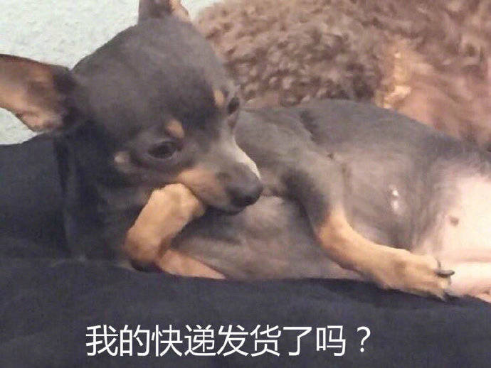 等快递的真实状态被这套表情包拿捏了