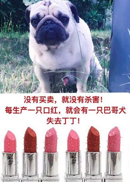 聊天救星！这份群聊必备表情包收好