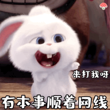 《爱宠大机密》兔子表情包合集来啦