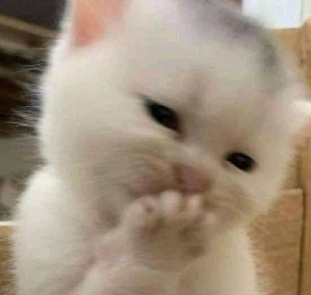 1月10日斗图表情包合集来了