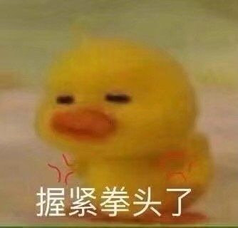 火出圈的咋肥四鸭小黄鸭表情包来啦