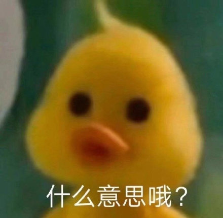 火出圈的咋肥四鸭小黄鸭表情包来啦