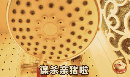 朋友圈刷屏的猪小屁表情包，到底有多火？