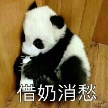 国宝大熊猫滚滚表情包来啦！