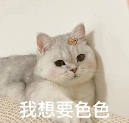 聊天斗图新宠！猫猫涩涩表情包合集