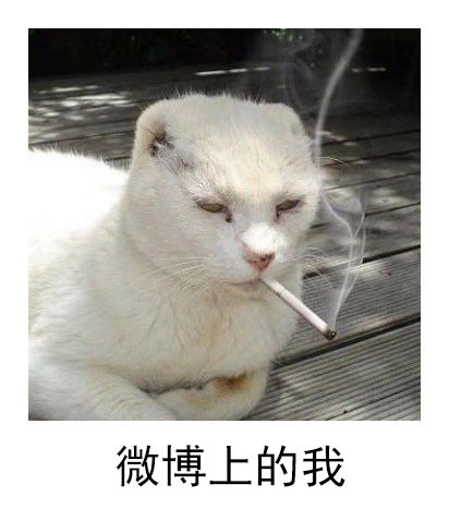 不同社交平台的我，你中了几条？