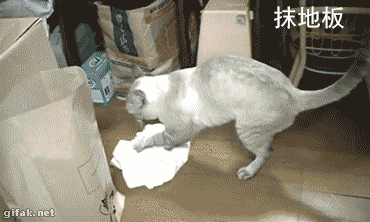 养猫的N种用处表情包合集