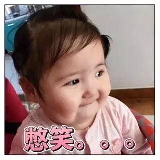 软萌小刚几表情包合集